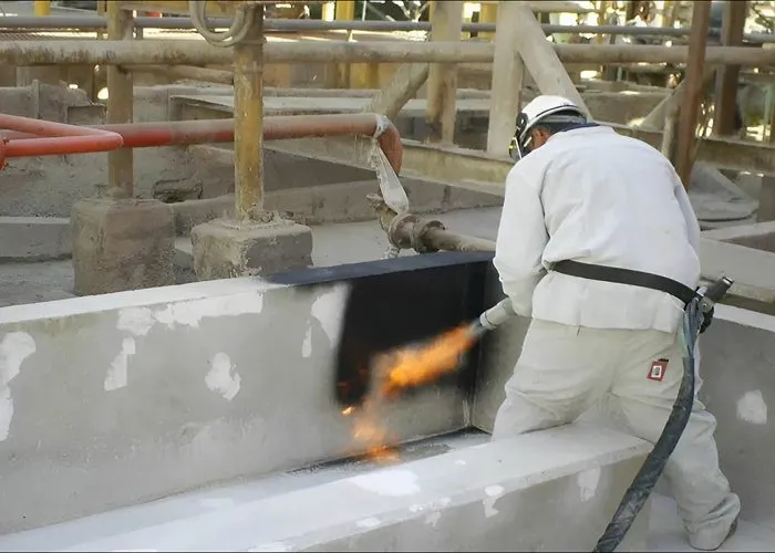 photo 2023 06 30 13 49 13 (copy) (copy) 3